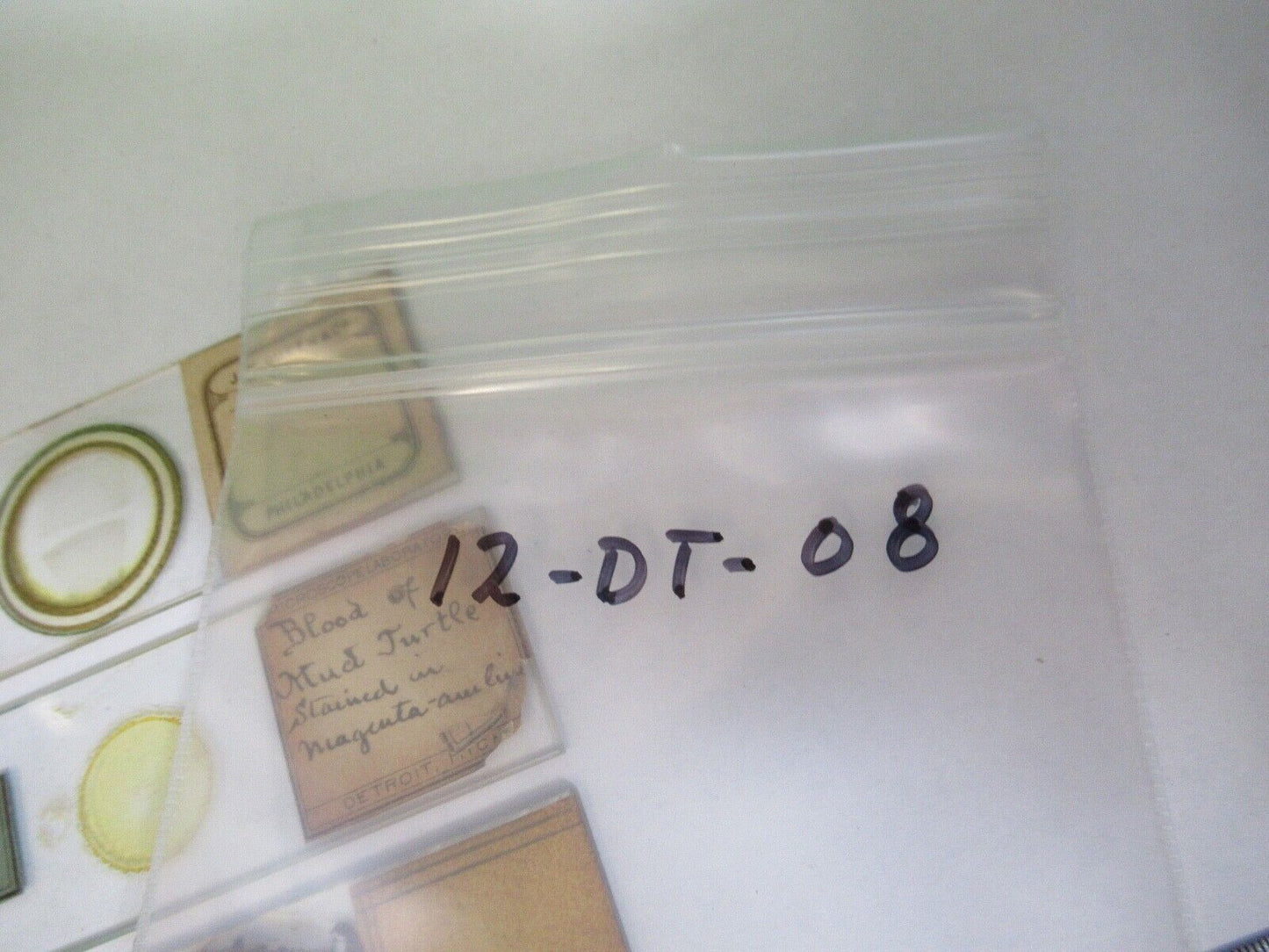 ANTIQUE PREPARED SLIDES 1800's SPECIMENS MICROSCOPE PART AS PIC 12-dt-a8