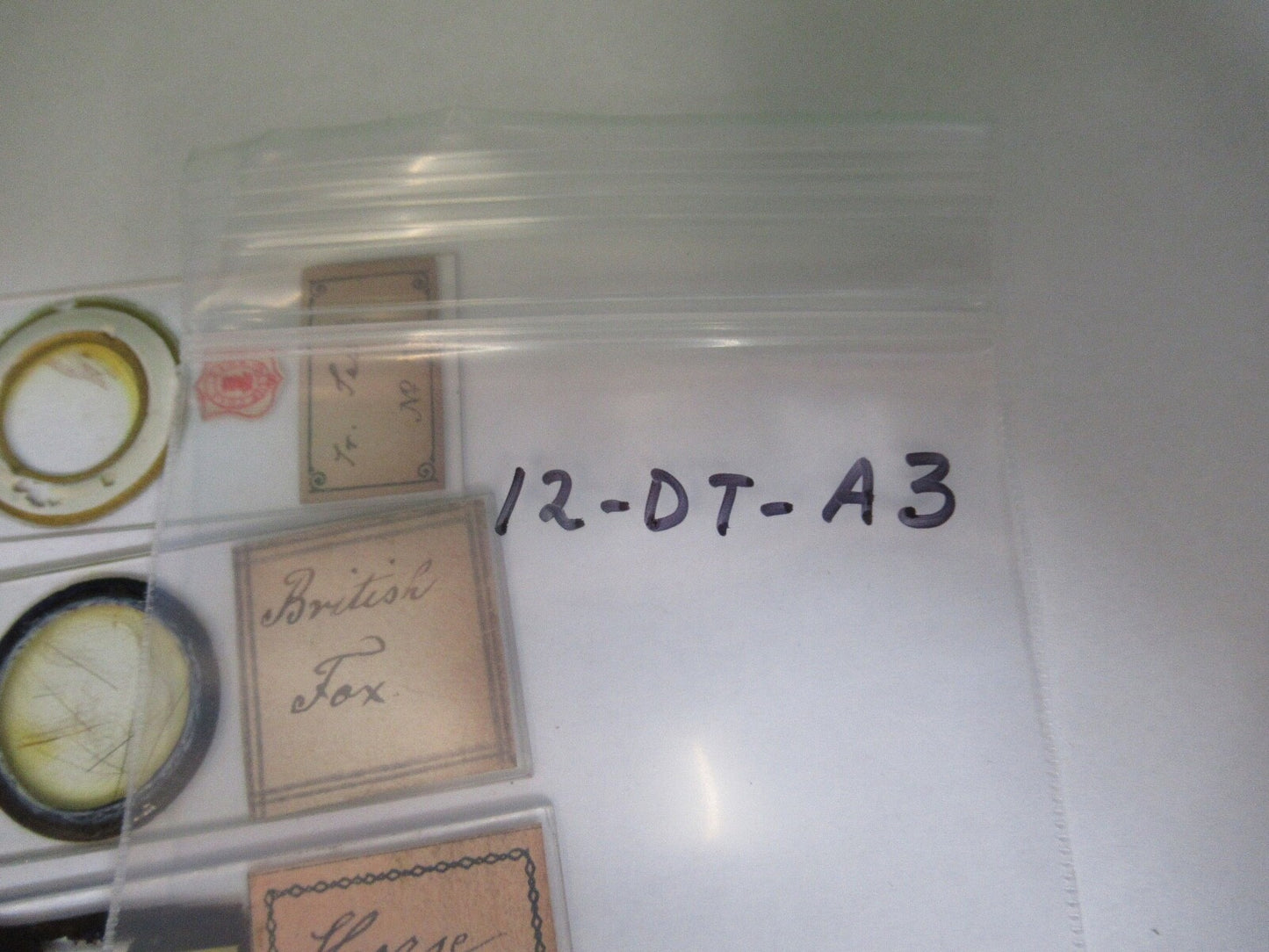 ANTIQUE PREPARED SLIDES 1800's SPECIMENS MICROSCOPE PART AS PIC 12-dt-a3