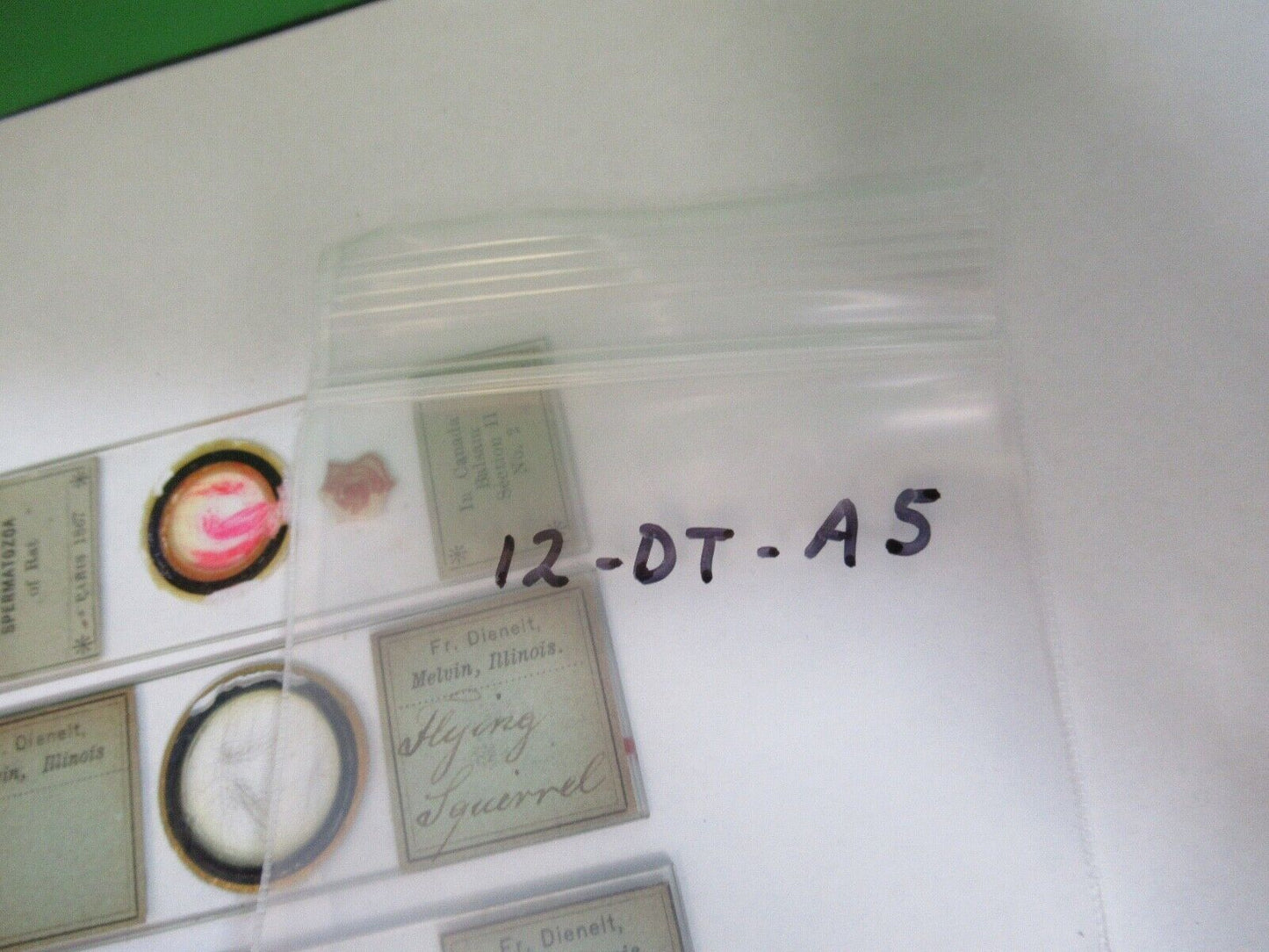 ANTIQUE PREPARED SLIDES 1800's SPECIMENS MICROSCOPE PART AS PIC 12-dt-a5