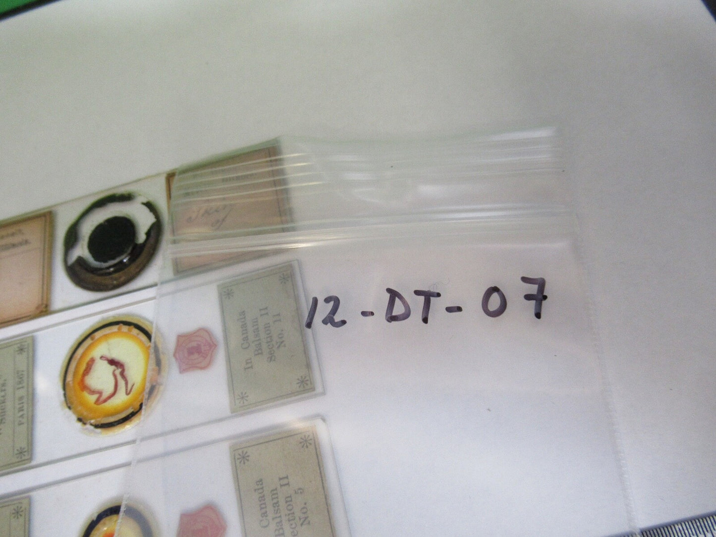 ANTIQUE PREPARED SLIDES 1800's SPECIMENS MICROSCOPE PART AS PIC 12-dt-a7