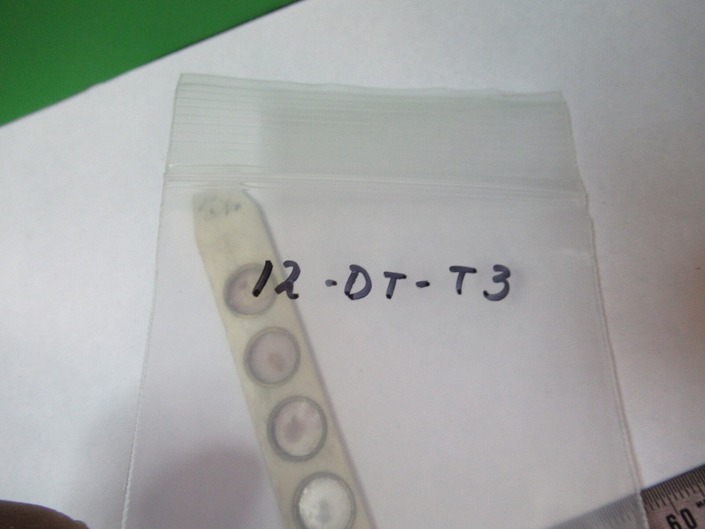 ANTIQUE SLIDE SPECIMEN made in BONE RARE MICROSCOPE PART AS PICTURED 12-DT-T3