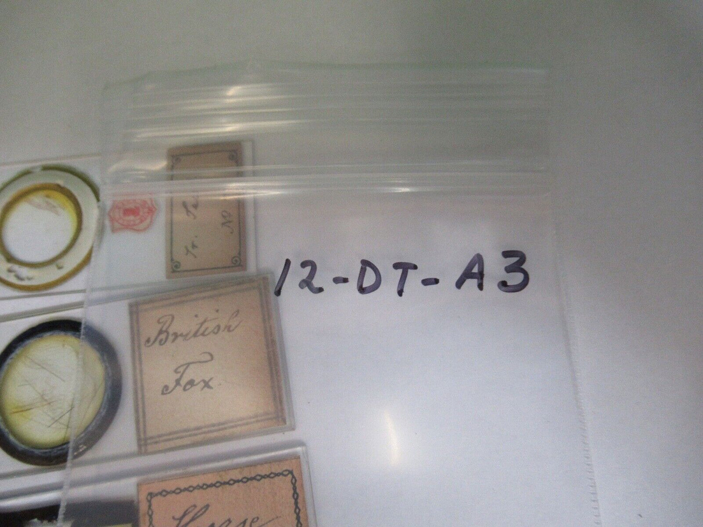 ANTIQUE PREPARED SLIDES 1800's SPECIMENS MICROSCOPE PART AS PIC 12-dt-a3