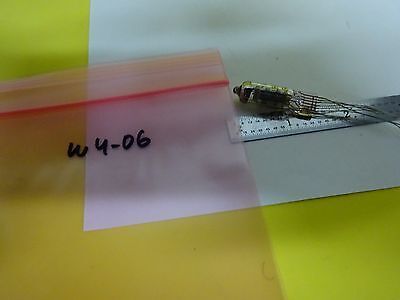 VACUUM TUBE RUSSIAN 8505 TETRODE ?? PENTODE ?? RECEIVER TV RADIO BIN#W4-06