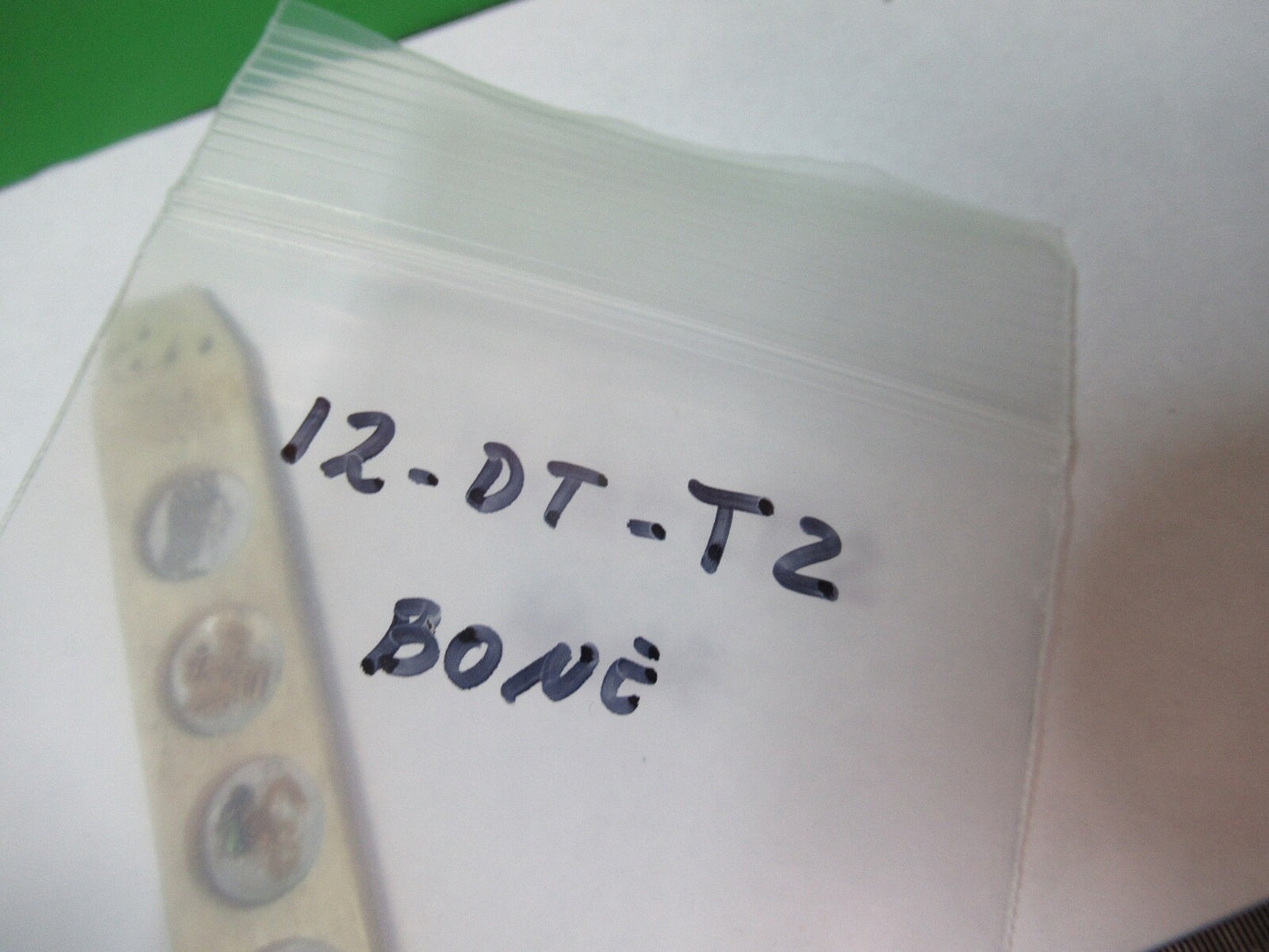 ANTIQUE SLIDE SPECIMEN made in BONE RARE MICROSCOPE PART AS PICTURED 12-DT-T2
