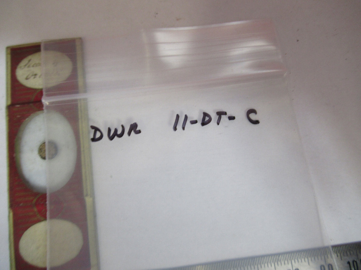 ANTIQUE VICTORIAN PREPARED SLIDE LONDON MICROSCOPE PART AS PICTURED 11-DT-C