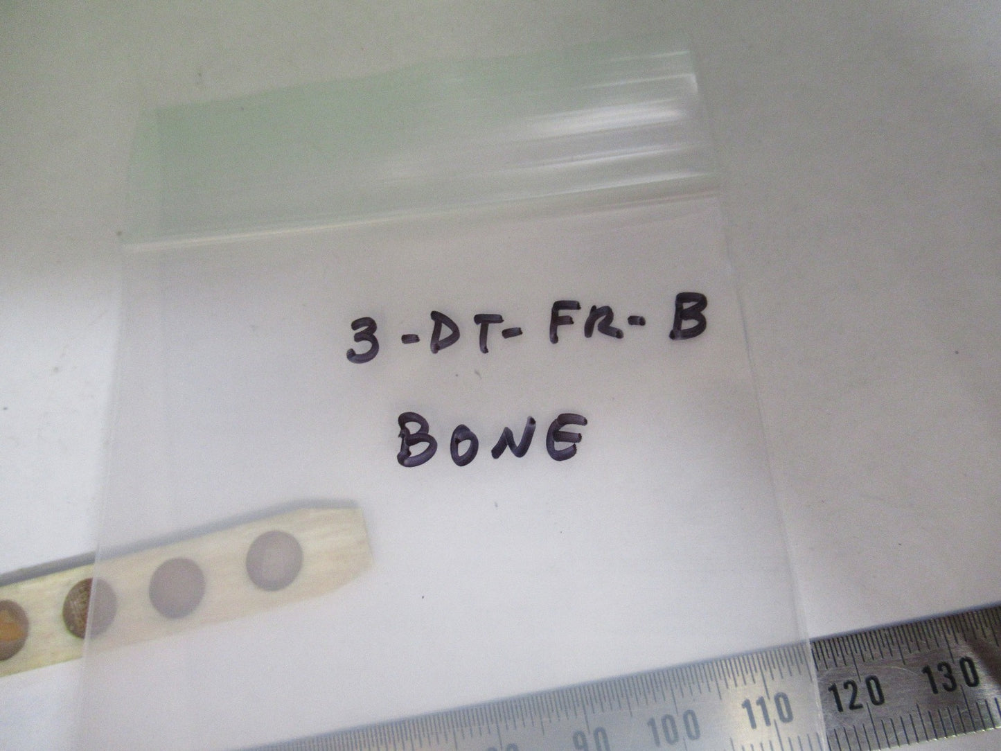 ANTIQUE bone slide specimen London MICROSCOPE PART AS PICTURED 3-dt-fr-b