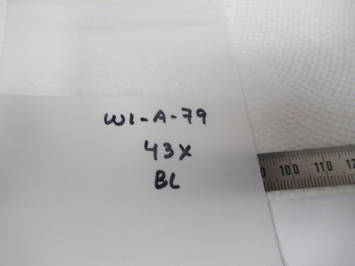 Optical Vintage Microscope Objective 43X Bausch & Lomb Optics