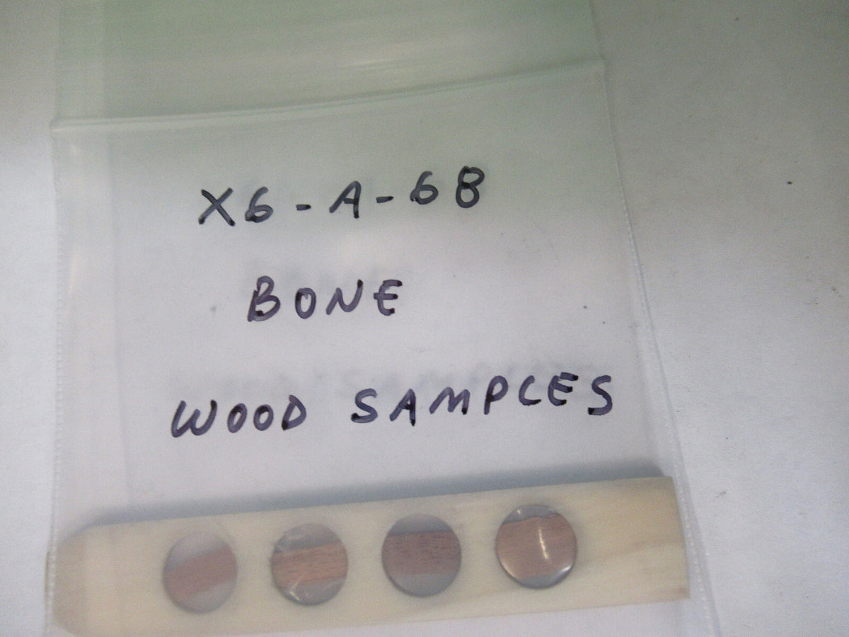 ANTIQUE PREPARED SLIDE IN BONE RARE UK MICROSCOPE PART AS PICTURED X6-A-68