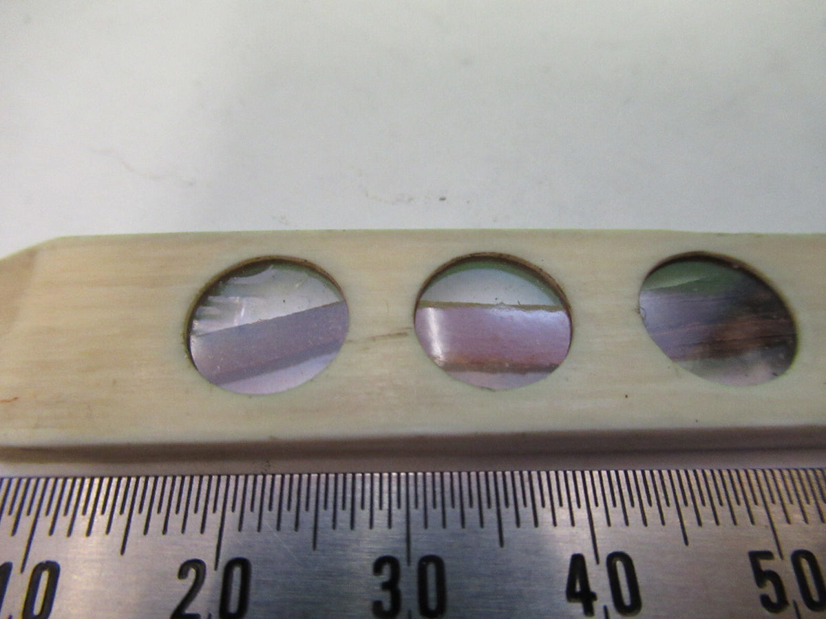 Antique Prepared Slide in Bone Rare UK Microscope Part