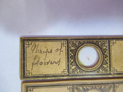 ANTIQUE VICTORIAN PREPARED SLIDE PAIR LONDON MICROSCOPE PART AS PICTURED F8-A-26