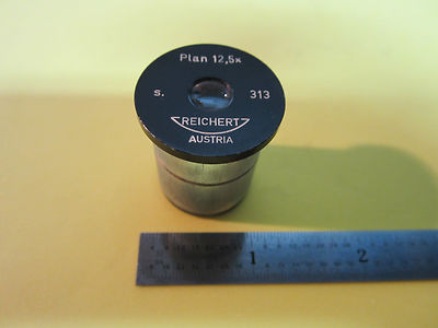 Microscope Part Reichert Austria Eyepiece 12.5X Plan Optics