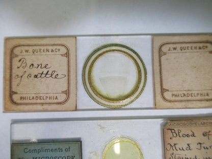 ANTIQUE PREPARED SLIDES 1800's SPECIMENS MICROSCOPE PART AS PIC  12-dt-a8