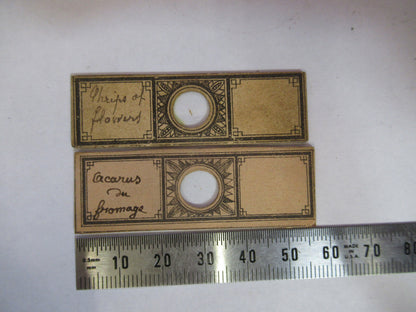 ANTIQUE VICTORIAN PREPARED SLIDE PAIR LONDON MICROSCOPE PART AS PICTURED F8-A-26