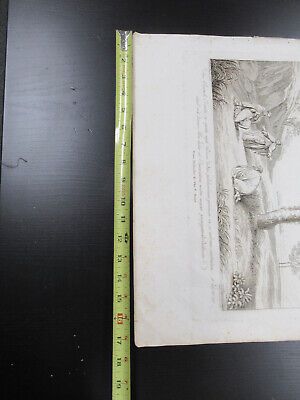 ANTIQUE ETCHING ITALIA ROME CIRCA 1810 GASPARD DUGHET PIETRO PARBONI AS PIC vi