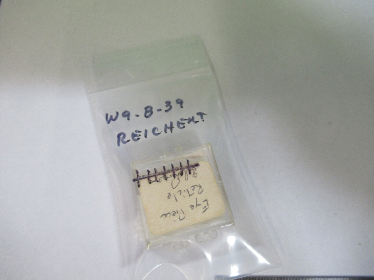 REICHERT AUSTRIA RETICLE LENS MICROSCOPE PART AS PICTURED W9-B-39