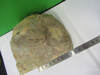 AMAZING AGATE SLICE MINERAL SAMPLE BEAUTIFUL SPECIMEN AS PICTURED V3-A-12