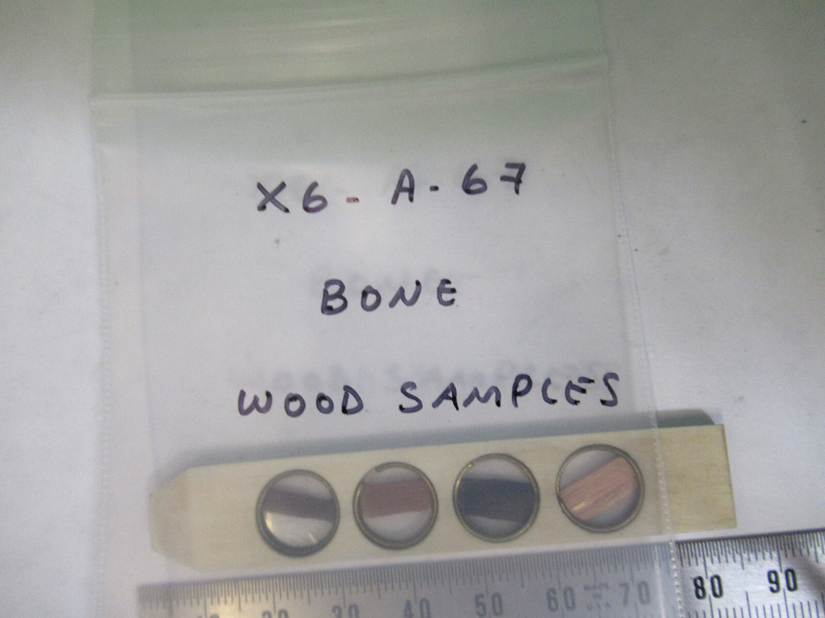Antique Prepared Slide in Bone Rare UK Microscope Part