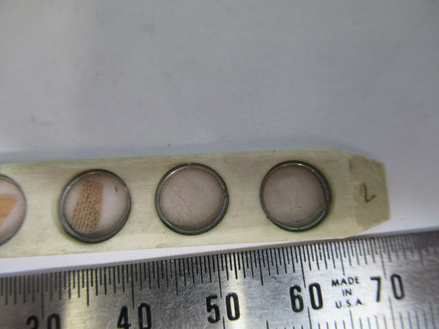ANTIQUE bone slide specimen London MICROSCOPE PART AS PICTURED 3-dt-fr-b