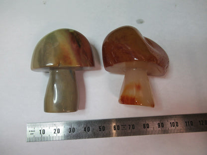 AGATE MUSHROOM SHAPE LOT MINERAL SAMPLE BEAUTIFUL SPECIMEN AS PICTURED T7-FD-81
