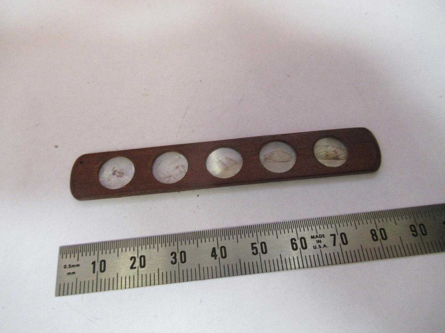 Antique Prepared Slide in Wood Rare UK Microscope Part