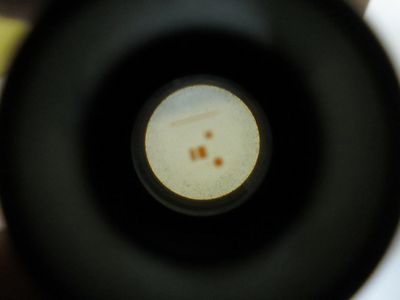 Microscope Part Olympus Eyepiece WHK15X L-h Japan Optics