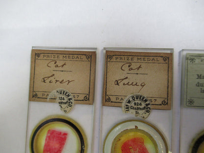 ANTIQUE PREPARED SLIDE LOT 3ea MICROSCOPE PART AS PICTURED 11-DT-Z6