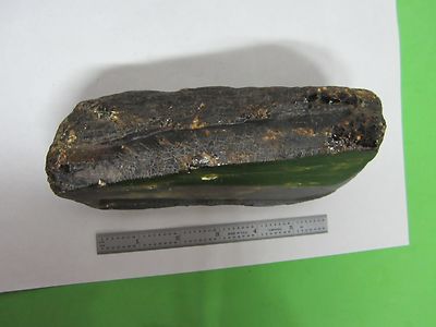 LARGE PIECE ROUGH AMBER BORNEO  JEWELRY  OLD #R9-16