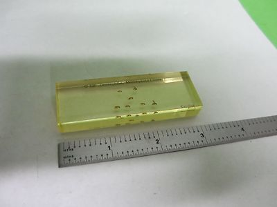 Microscope Specimen Slide Drosophila