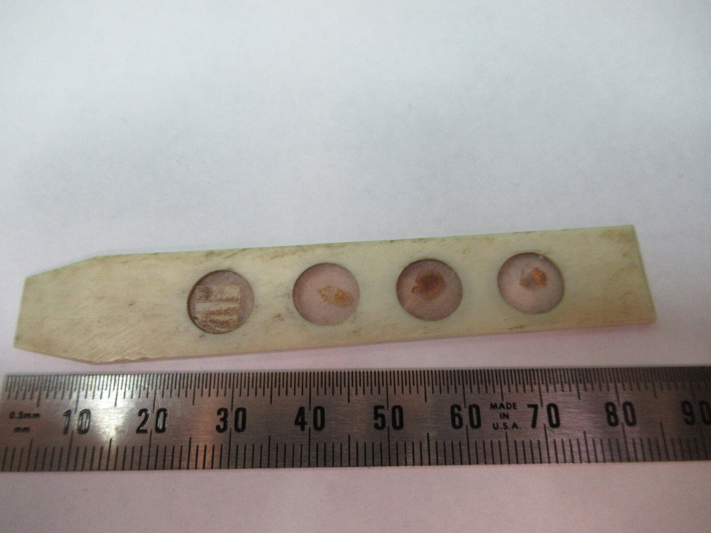 ANTIQUE SLIDE SPECIMEN made in BONE RARE MICROSCOPE PART AS PICTURED 12-DT-T3