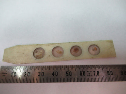 ANTIQUE SLIDE SPECIMEN made in BONE RARE MICROSCOPE PART AS PICTURED 12-DT-T3