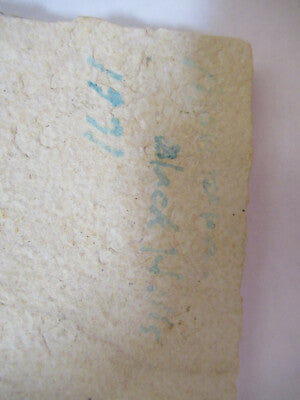Nice Fossil Plate of a Fish Specimen