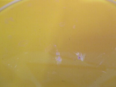 Optical BK7 Glass [coating stained] 4.25" Dia