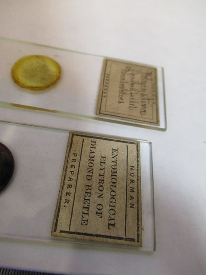ANTIQUE LOT SLIDES SPECIMEN LONDON UK MICROSCOPE PART AS PICTURED Y2-A-82
