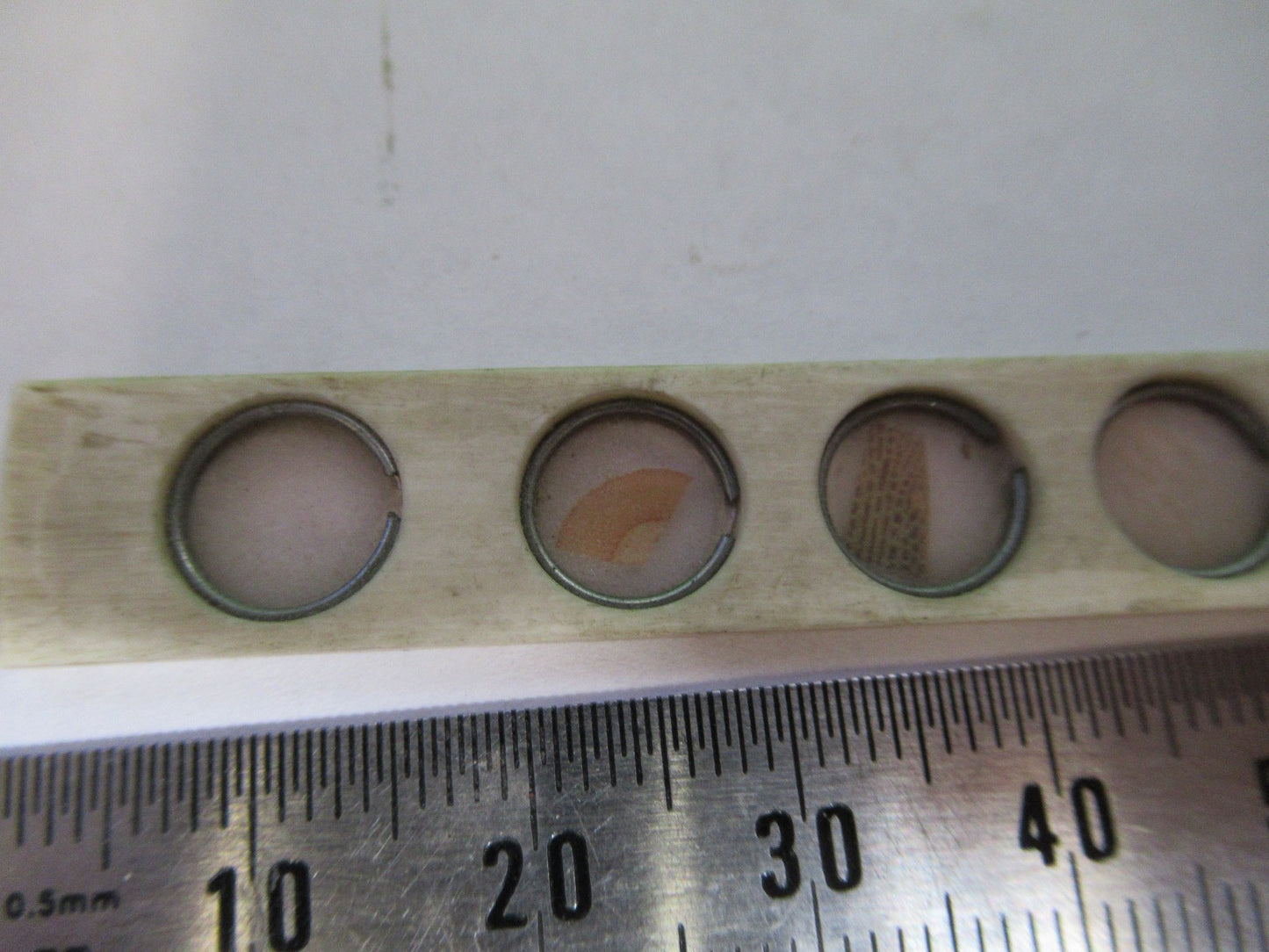 ANTIQUE bone slide specimen London MICROSCOPE PART AS PICTURED 3-dt-fr-b