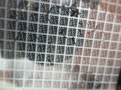Sapphire Wafer Single Crystal Platinum Coated