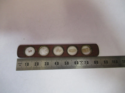 Antique Prepared Slide in Wood Rare UK Microscope Part