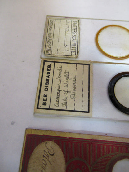 ANTIQUE LOT SLIDES SPECIMEN LONDON UK MICROSCOPE PART AS PICTURED Y2-A-82