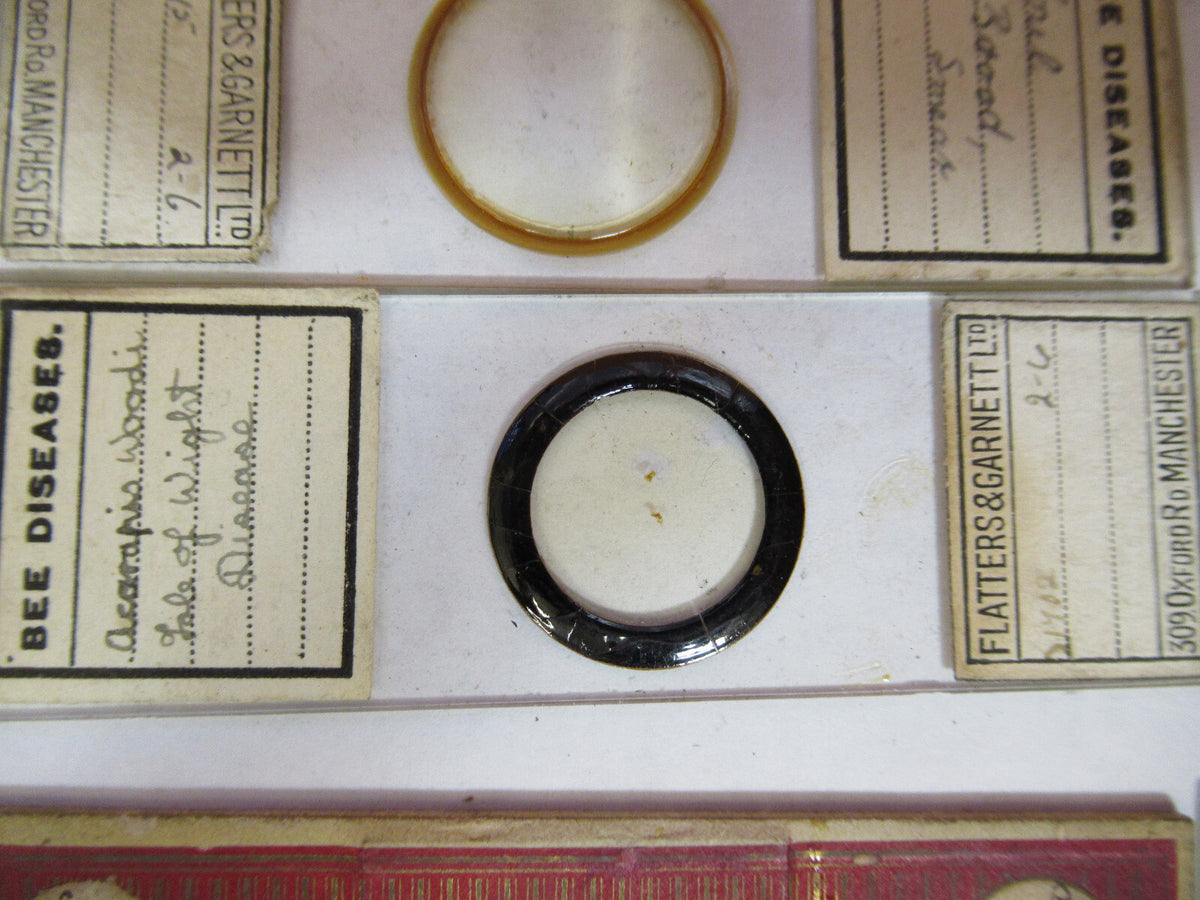 ANTIQUE LOT SLIDES SPECIMEN LONDON UK MICROSCOPE PART AS PICTURED Y2-A-82