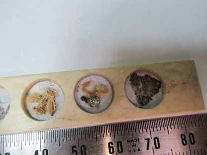 ANTIQUE SLIDE SPECIMEN made in BONE RARE MICROSCOPE PART AS PICTURED 12-DT-T2