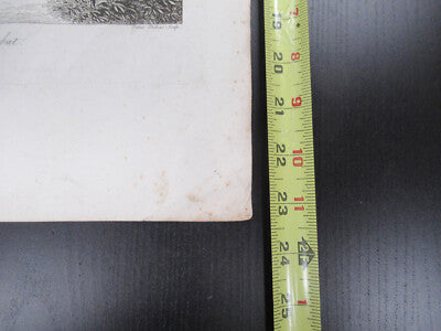 ANTIQUE ETCHING ITALIA ROME CIRCA 1810 GASPARD DUGHET PIETRO PARBONI AS PIC viii