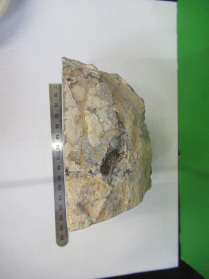 AMAZING AGATE SLICE MINERAL SAMPLE BEAUTIFUL SPECIMEN AS PICTURED V3-A-12