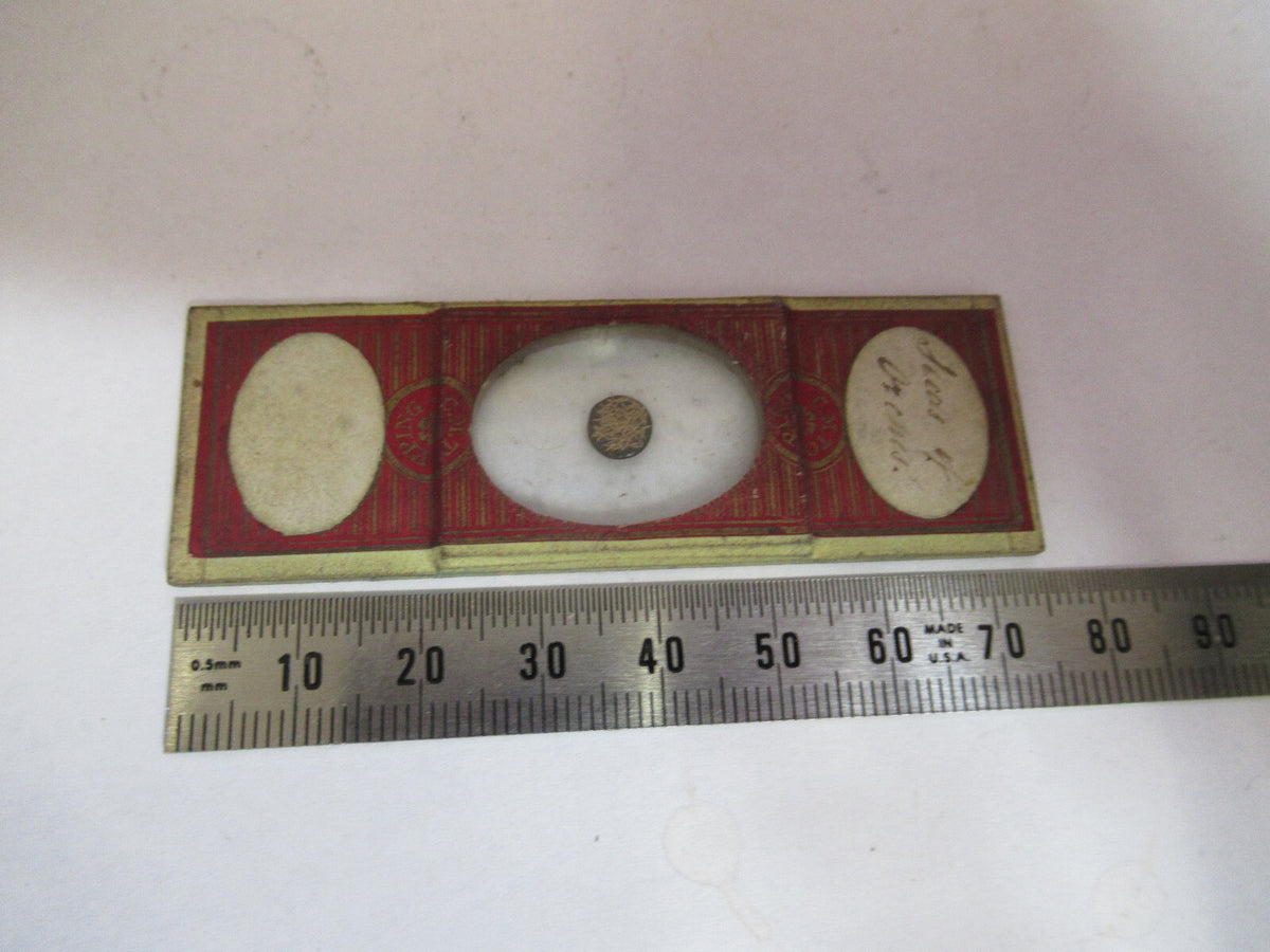 ANTIQUE VICTORIAN PREPARED SLIDE LONDON MICROSCOPE PART AS PICTURED 11-DT-C