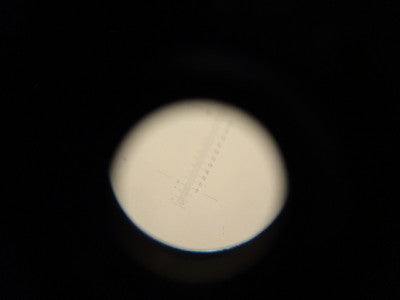Okular 60x + MIKROMETEROPTIK MIKROSKOPTEIL WIE BESEHEN &amp;Z7-D-10