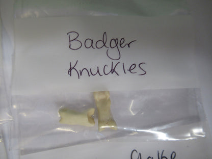LOT PYTHON CRINOID EPIDOTE BADGER MICROSCOPE SAMPLES AS PICTURED X4-A-64