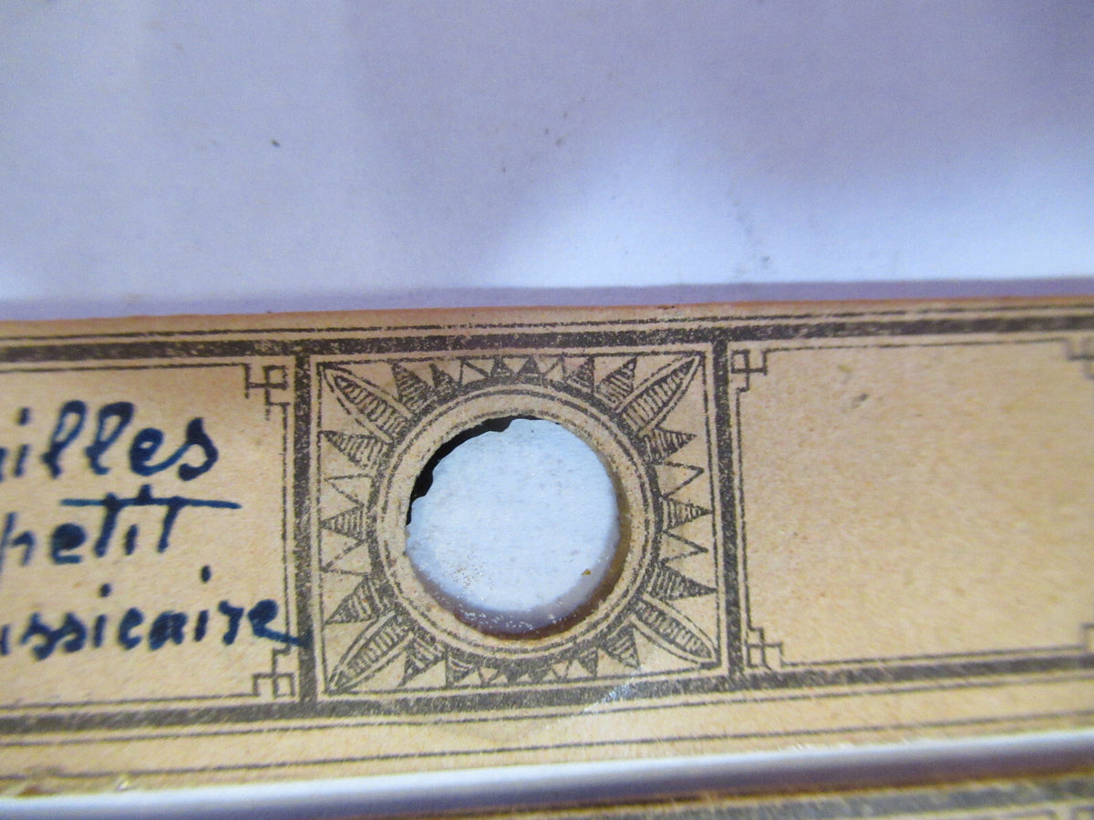 ANTIQUE VICTORIAN PREPARED SLIDE PAIR LONDON MICROSCOPE PART AS PICTURED F8-A-27