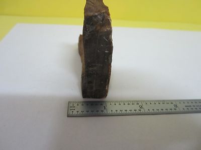 PETRIFIED WOOD SAMPLE BIN#T6-05