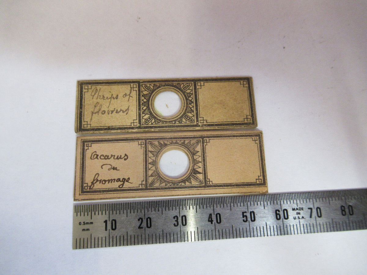 ANTIQUE VICTORIAN PREPARED SLIDE PAIR LONDON MICROSCOPE PART AS PICTURED F8-A-26