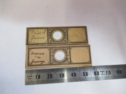 ANTIQUE VICTORIAN PREPARED SLIDE PAIR LONDON MICROSCOPE PART AS PICTURED F8-A-26