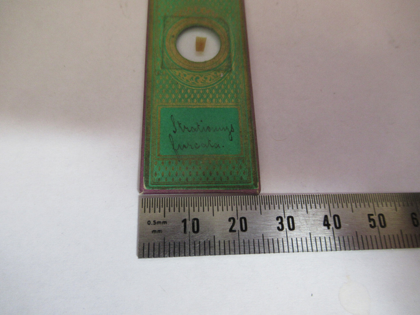 ANTIQUE VICTORIAN PREPARED SLIDE LONDON MICROSCOPE PART AS PICTURED 11-DT-B