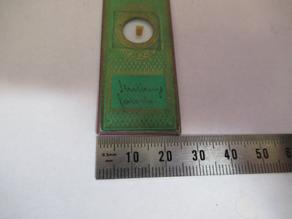 ANTIQUE VICTORIAN PREPARED SLIDE LONDON MICROSCOPE PART AS PICTURED 11-DT-B